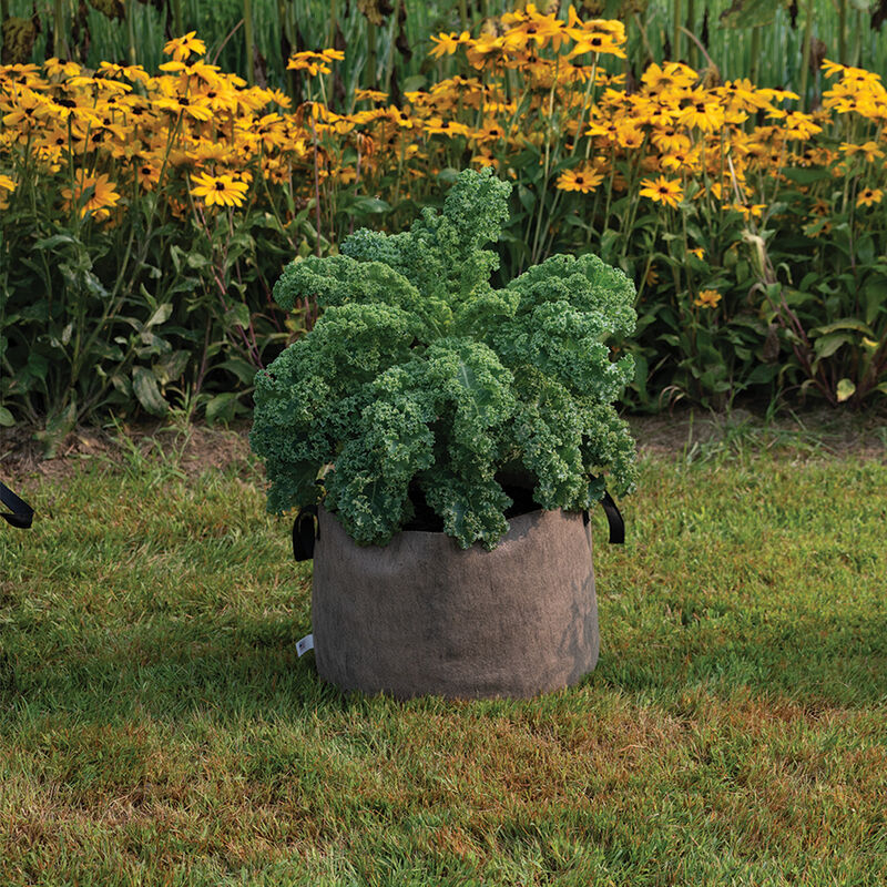 Smart Pot® Natural – 15 Gal. Grow Bags