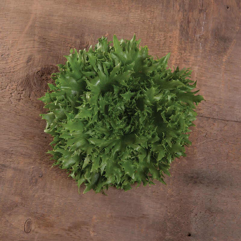 Verigo One-Cut Lettuce