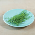 Scallion Microgreen Vegetables