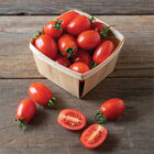 Candy Bell Grape Tomatoes