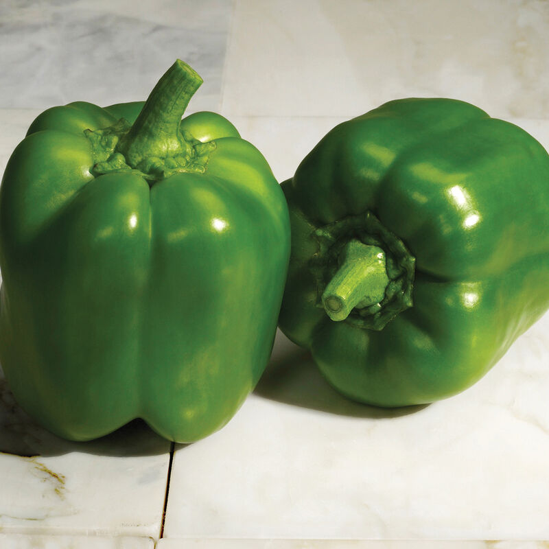 Green Bell Pepper, 1 ct, 6 oz