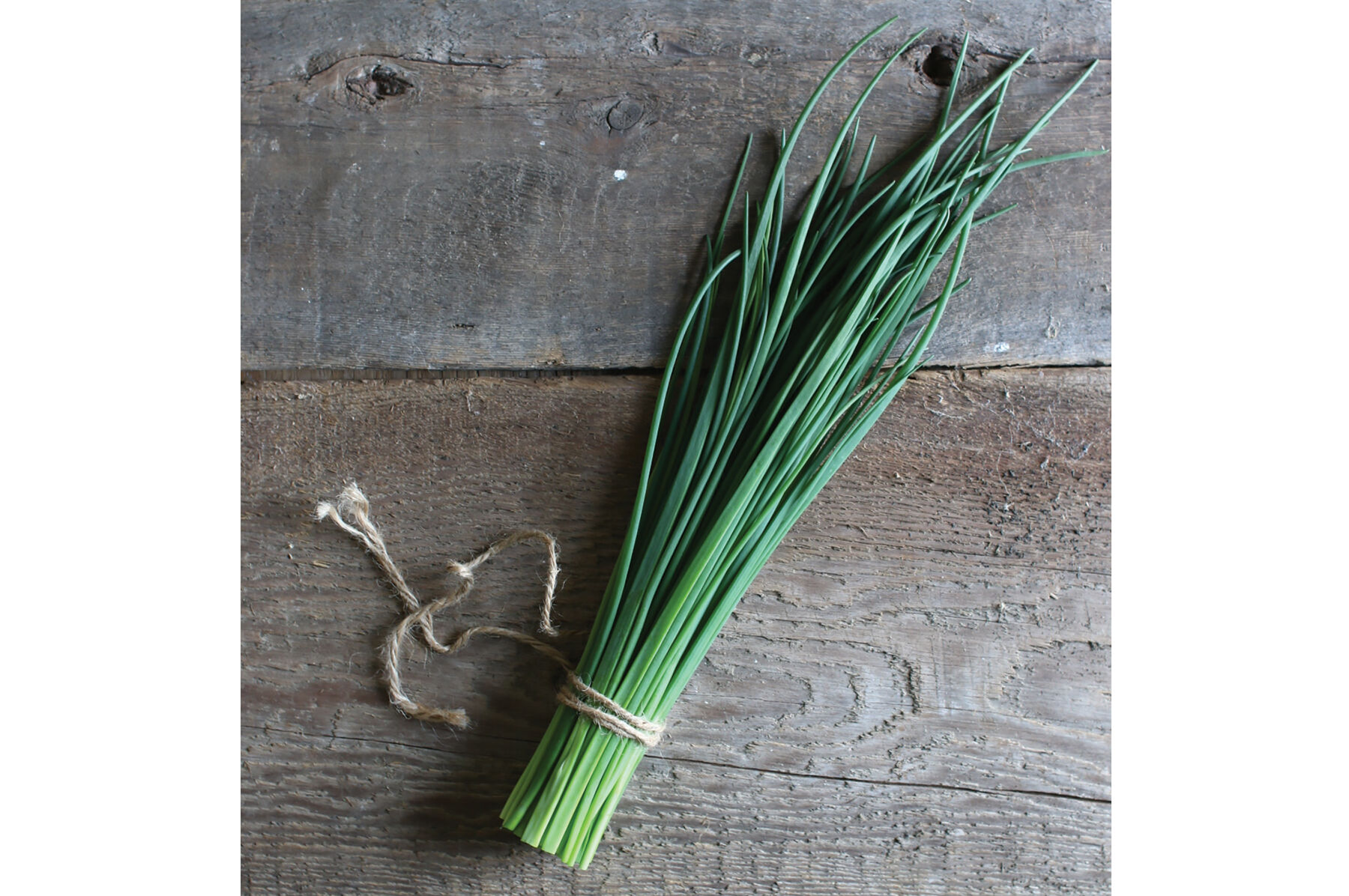 Purly Standard Chives