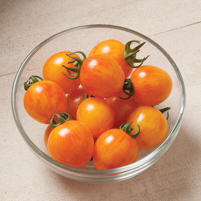 Goldkrone Cherry Tomato Seeds - Price €1.85