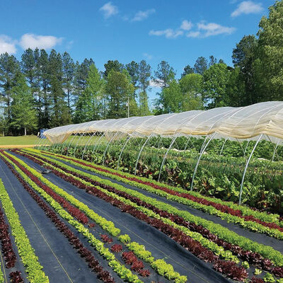 Sunbelt Black Ground Cover – 15' 6" x 300' Sunbelt Black Ground Cover – 15' 6" x 300' Fabric Mulch