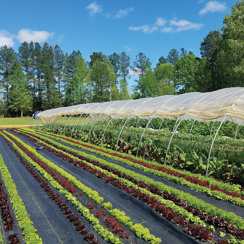 Sunbelt Black Ground Cover – 15' 6" x 300' | Johnny's Selected Seeds