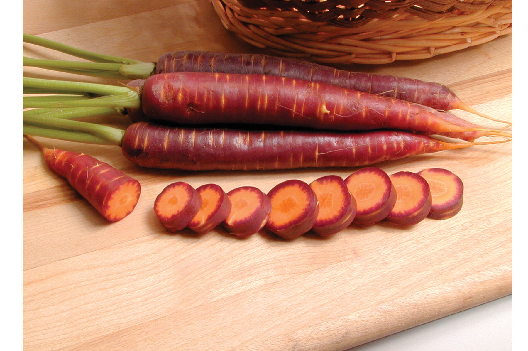 Johnny's Selected Seeds Carrot Seed
