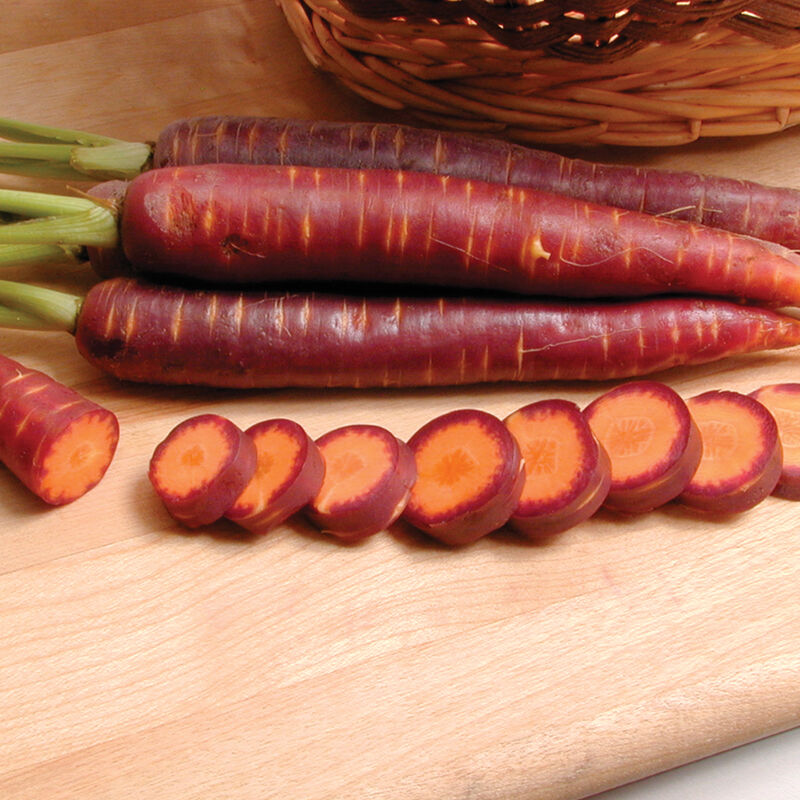 Purple Haze Main Crop Carrots