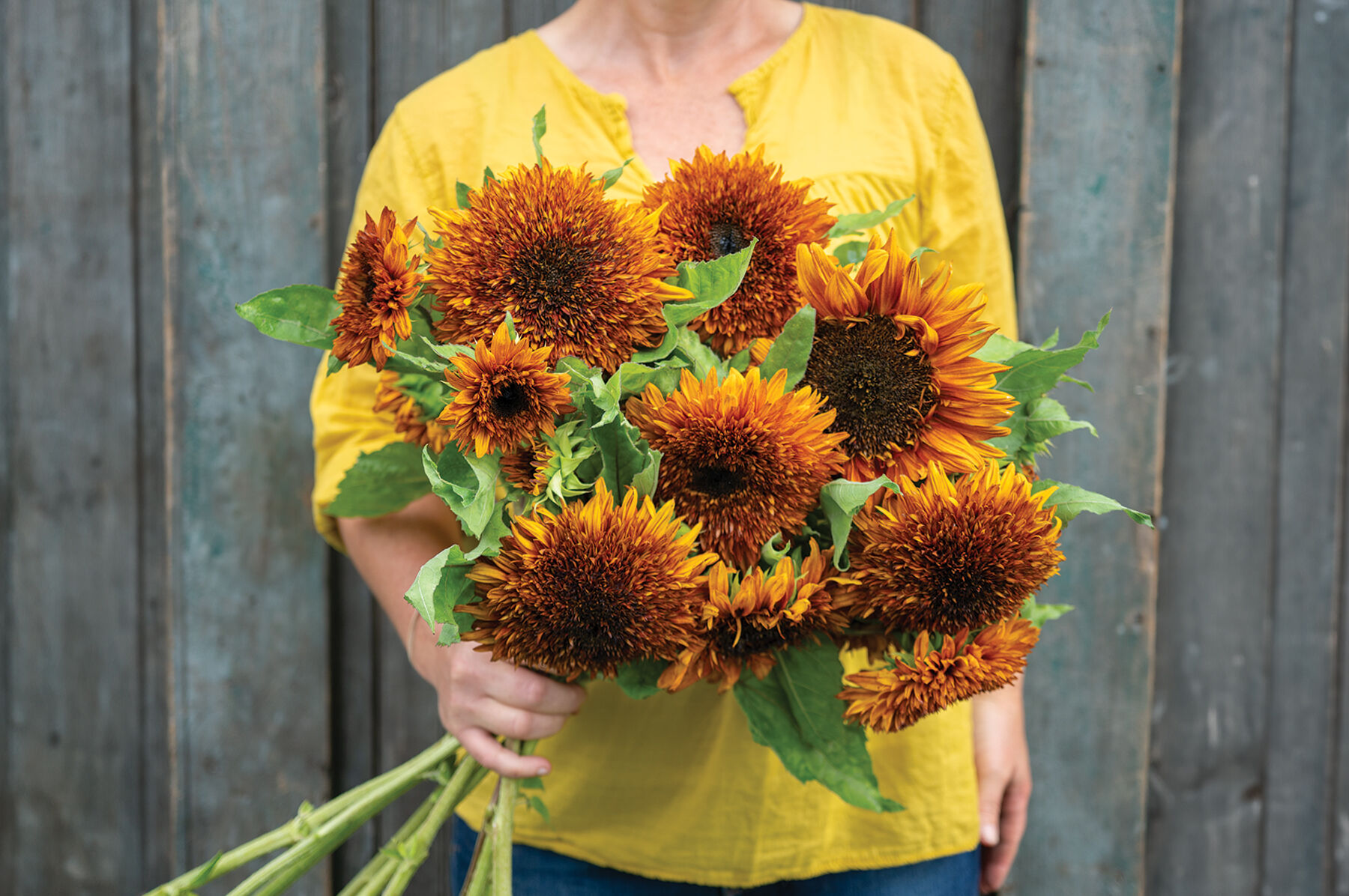 Sunflower Seeds for Planting | Johnny's Selected Seeds