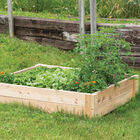 Cedar Raised Garden Bed – 4' x 4' Raised Beds & Planters