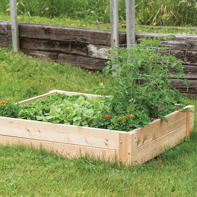 Cedar Raised Garden Bed – 4' x 4' Raised Beds & Planters
