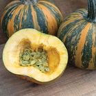 Junona Specialty Pumpkins