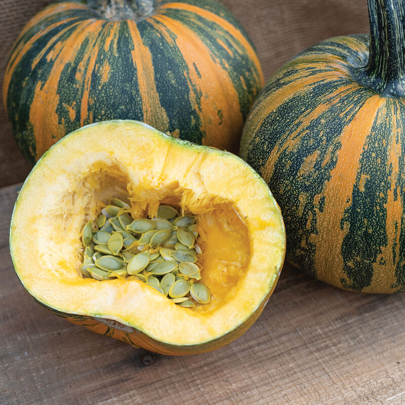 Junona Specialty Pumpkins