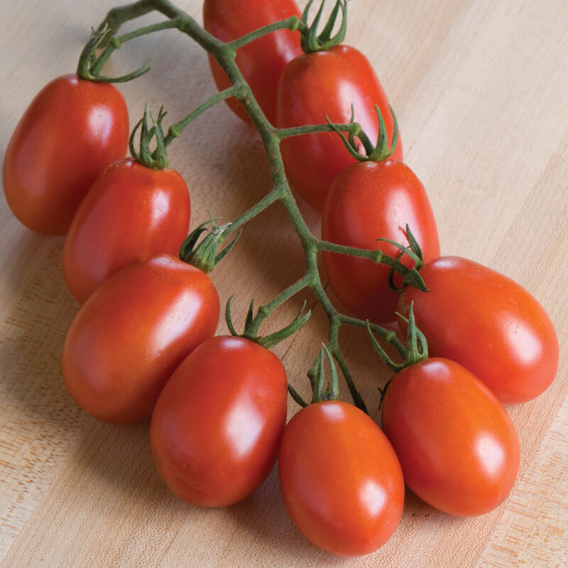 Verona Paste Tomatoes