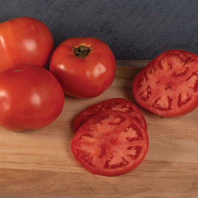 Galahad Beefsteak Tomatoes