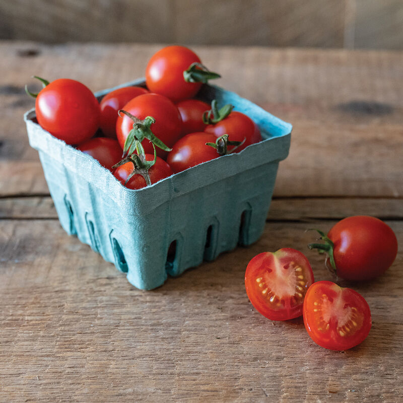 Favorita Favorita Cherry Tomatoes