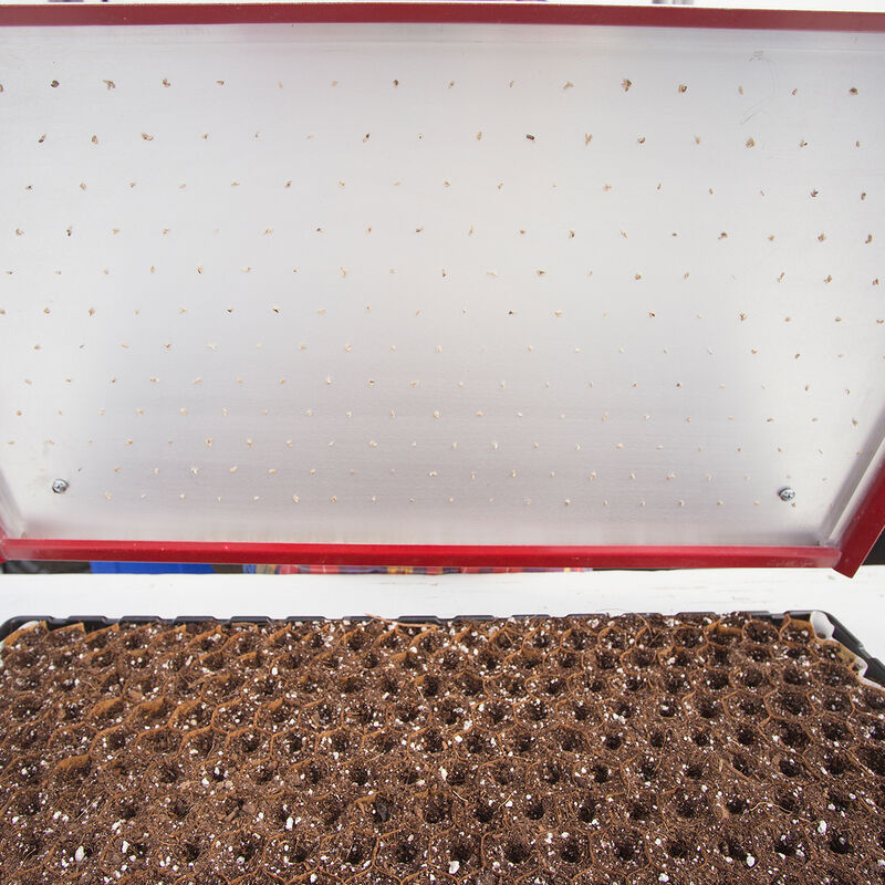 Seed Plate C264 Vacuum