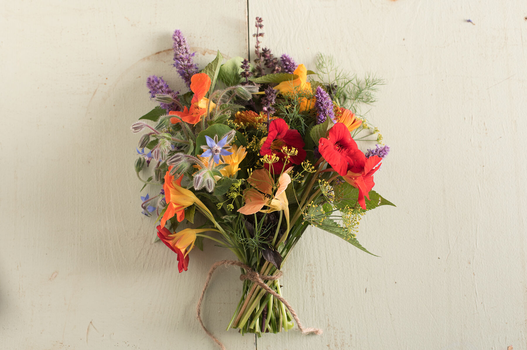 Organic Edible Flower Collection Flower Collections and Mixes