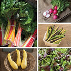 Sow Easy Collections