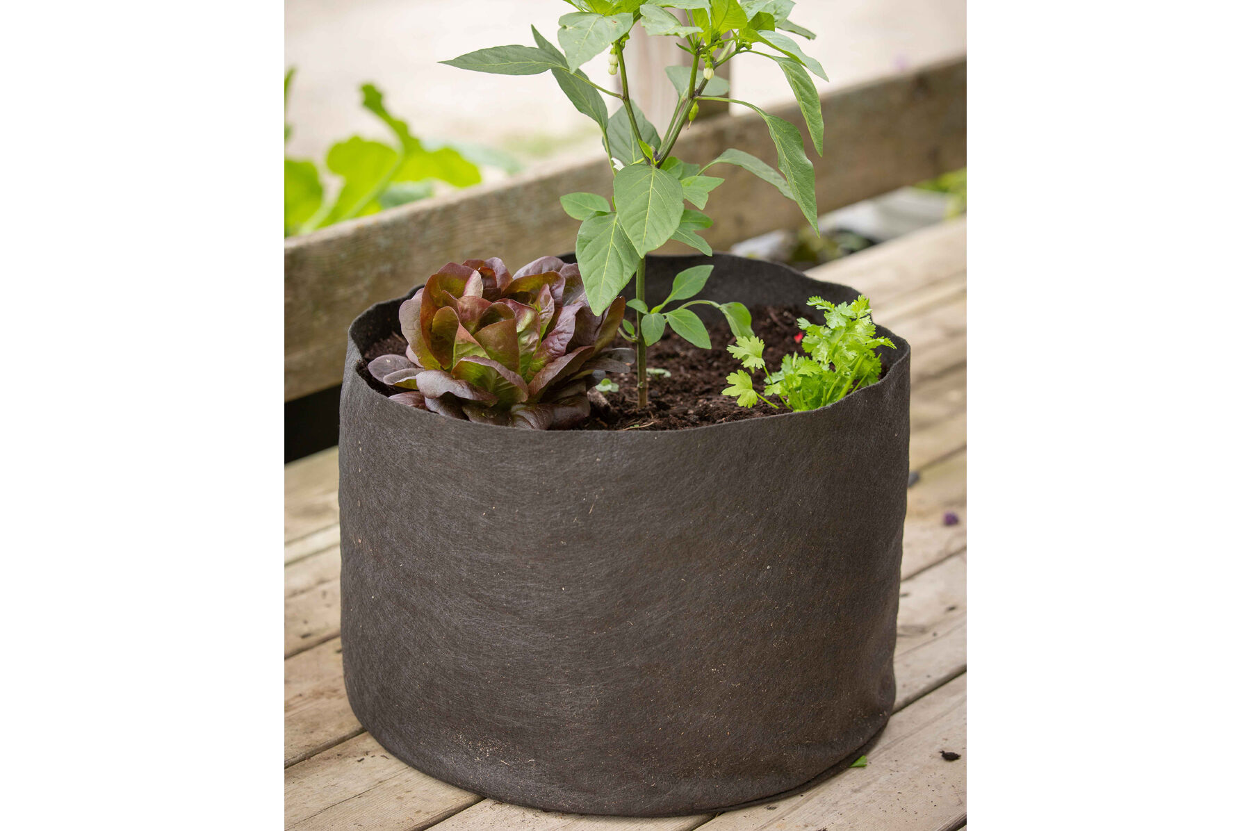 Smart Pot&reg; &ndash; 10 Gal. Grow Bags