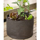 Smart Pot® – 10 Gal. Grow Bags