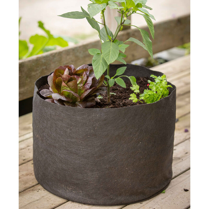 Smart Pot® – 10 Gal. Grow Bags