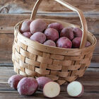 Red Port Potatoes