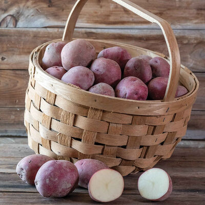 Red Port Potatoes
