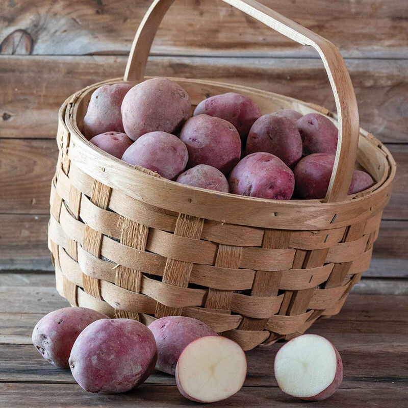 Red Port Potatoes