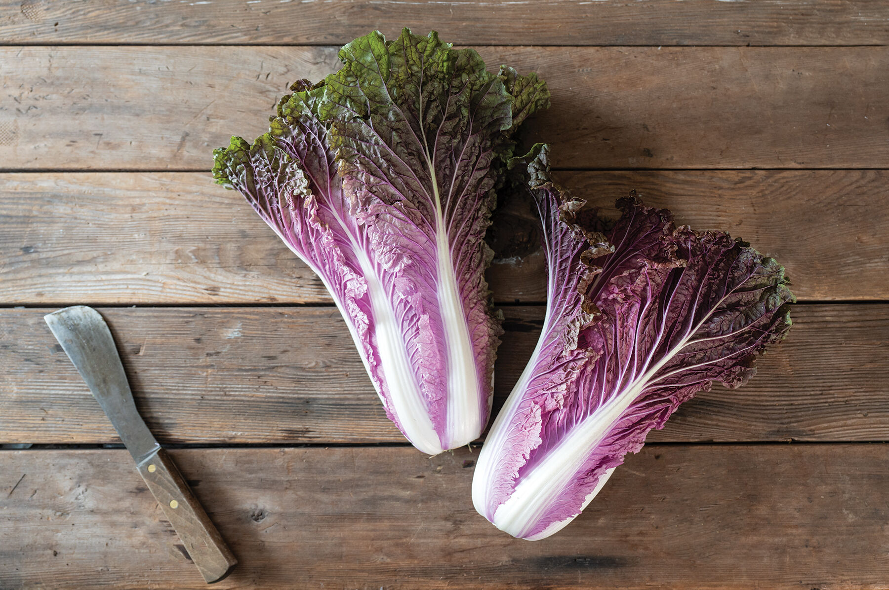 Chinese Cabbage Seeds (Napa Cabbage) | Johnny's Selected Seeds