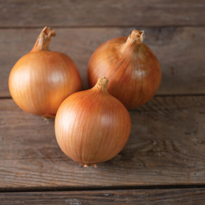 Safrane Full-Size Onions