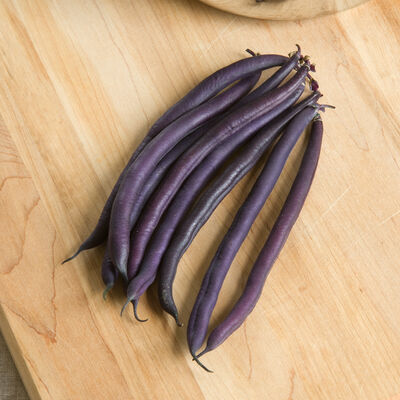 Amethyst Bush Beans