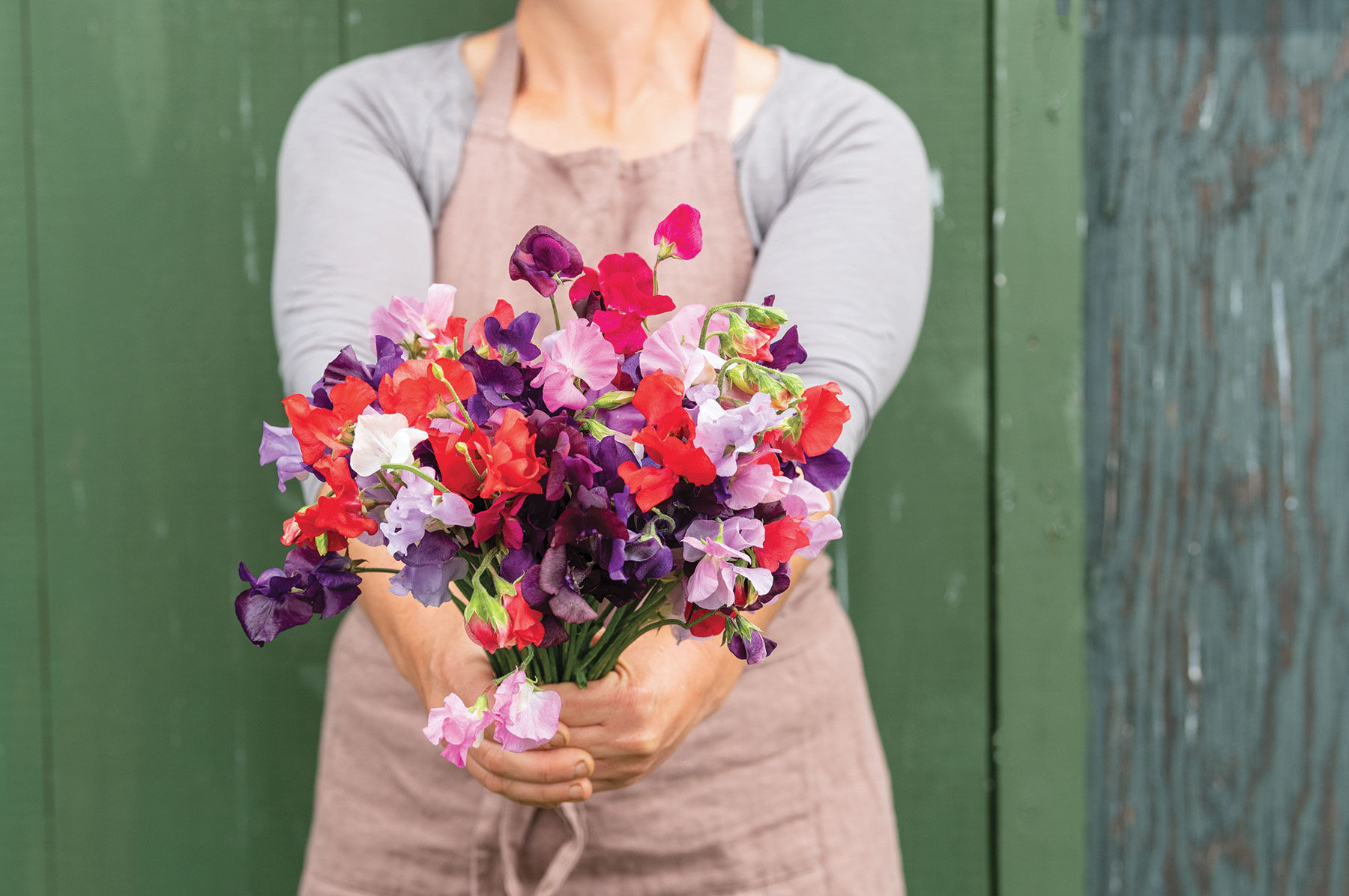 Sweet pea store bouquet