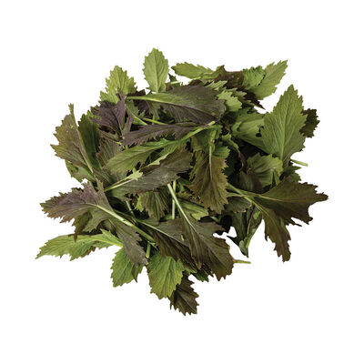 Red Baron Plus Asian Greens