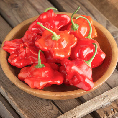 Mad Hatter Mad Hatter Hot Peppers