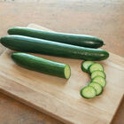 Unagi Seedless and Thin-skinned Cucumbers