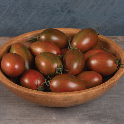 Bronze Torch Bronze Torch Specialty Tomatoes