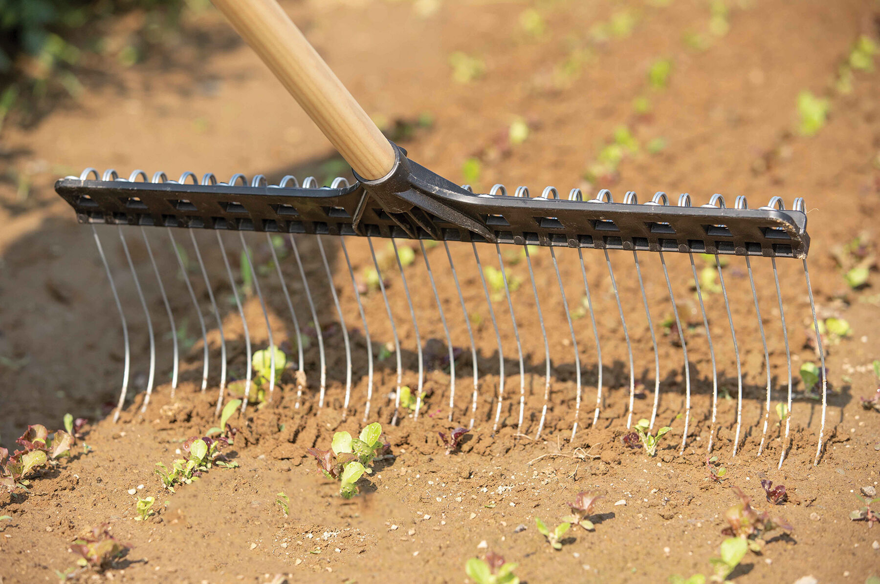 Tine shop weeding rake