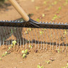 Tine Weeding Rake – 21" Hoes & Cultivators