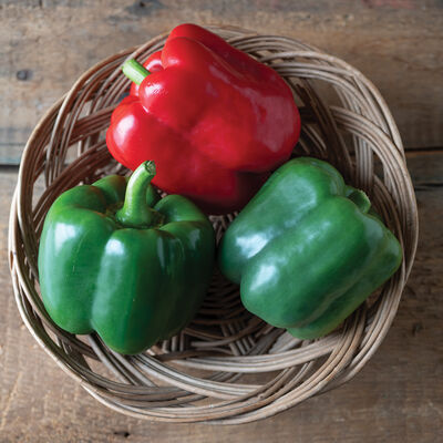 Autry Autry Sweet Bell Peppers