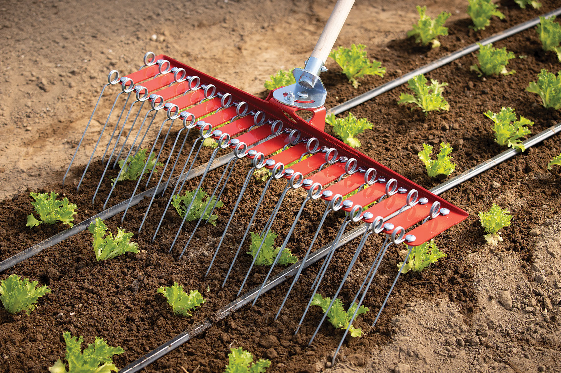 Tine Weeders 100 Guaranteed Johnny s Selected Seeds