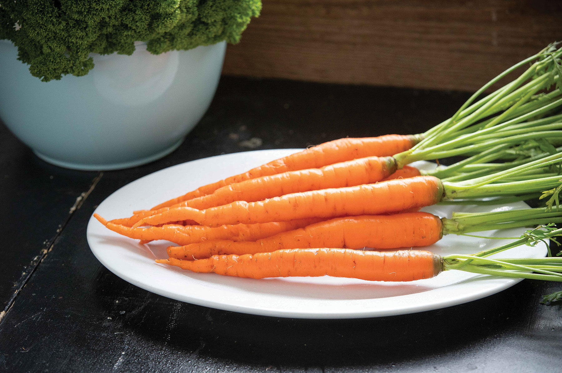 割引 Carrot Imperator - Sugarsnax Seeds Seeds Selected Johnny's | K-POP・アジア