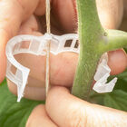 Tomato Trellis Clips – 100 Count Tomato Trellis Clips – 100 Count Clips