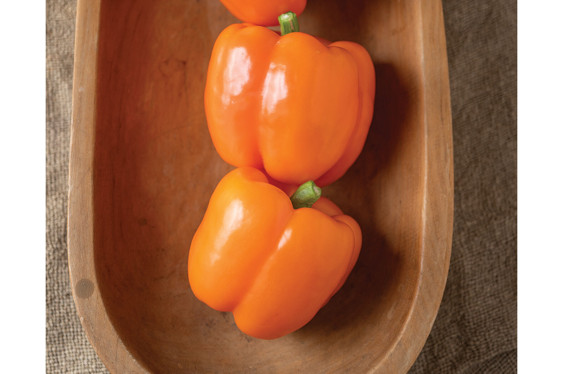 pepper SVPB8862 - (F1) Bell Pepper Seed | Johnny's Selected Seeds