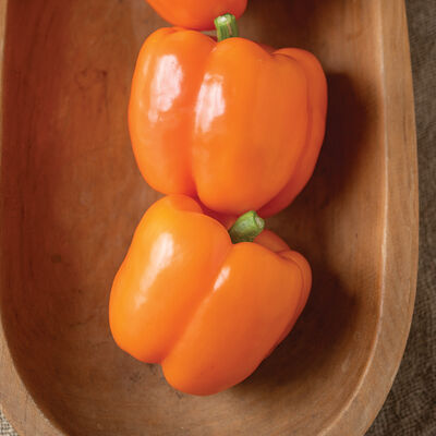 SVPB8862 Sweet Bell Peppers