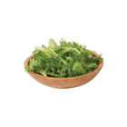 Coastline Summer Crisp Lettuce (Batavia)