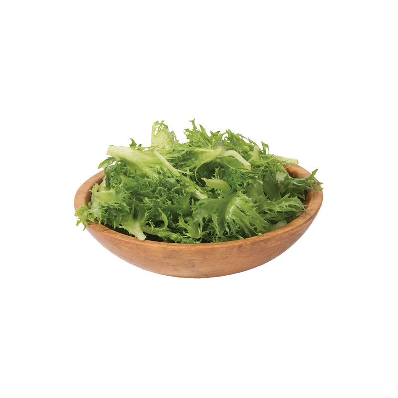 Coastline Summer Crisp Lettuce (Batavia)