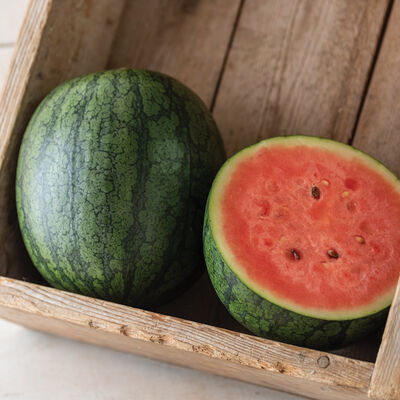 Natsu Cocoa Diploid Watermelons