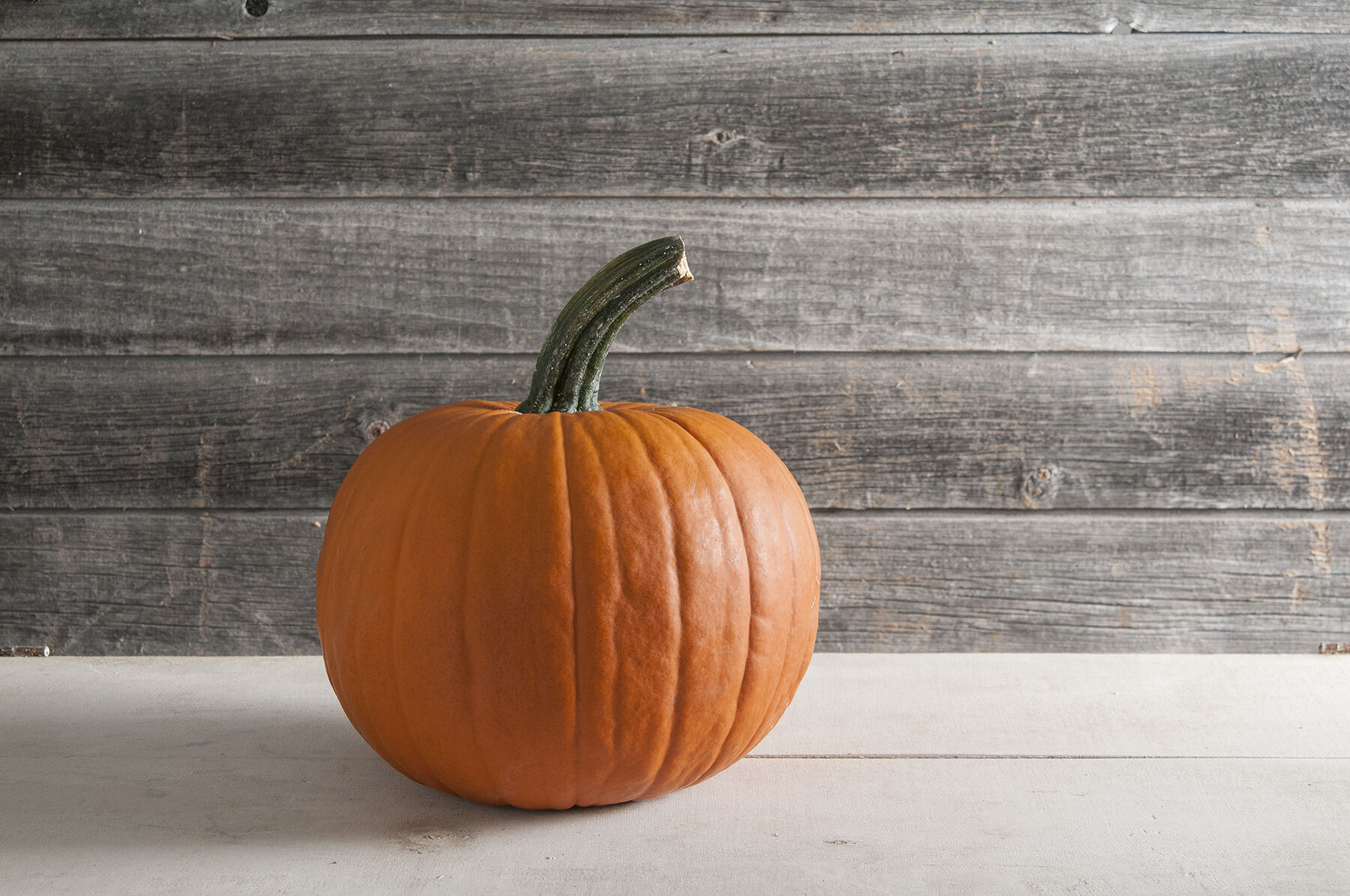 サングラス ^ONE BRILLIANT^ OnyxOB458Pumpkin Onyx-OB458-Pumpkin Spark F1 Untreated Pumpkin Seeds | Osborne Hybrid Farm Seed