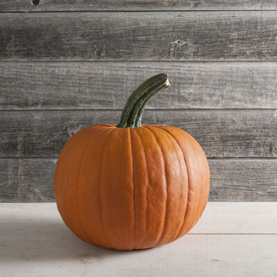Racer Racer Jack-o-Lanterns