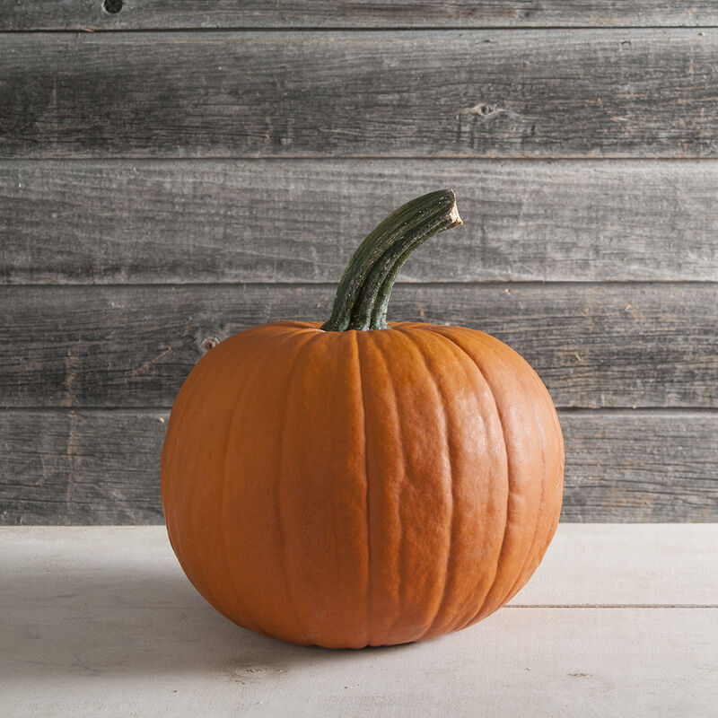 Racer Racer Jack-o-Lanterns
